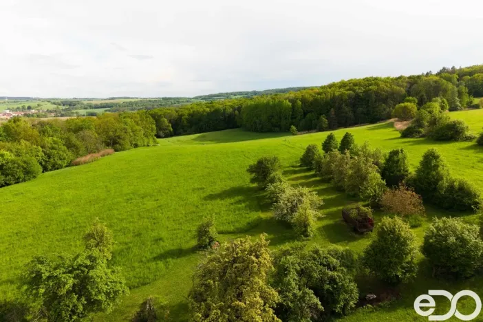 Prodej rodinného domu, Kravaře - Veliká, 500 m2