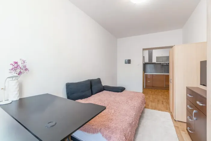 Prodej bytu 1+kk, Brno - Husovice, Dačického, 23 m2