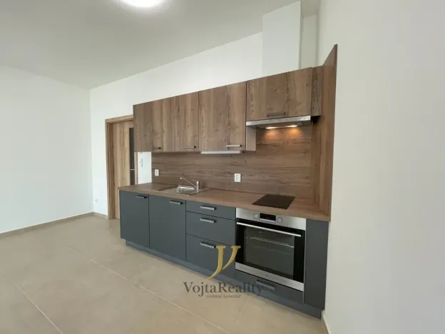 Pronájem bytu 1+kk, Olomouc - Hodolany, Elišky Krásnohorské, 45 m2
