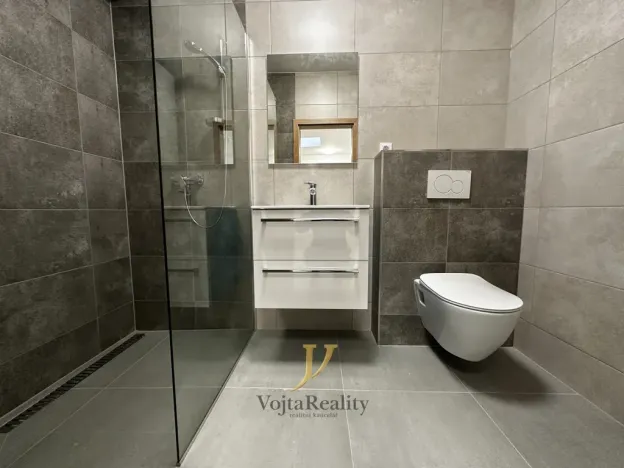 Pronájem bytu 1+kk, Olomouc - Hodolany, Elišky Krásnohorské, 45 m2
