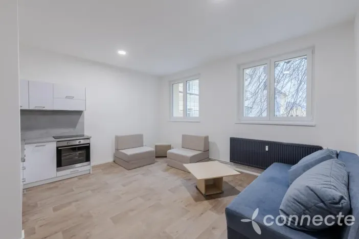 Pronájem bytu 1+kk, Přerov - Přerov I-Město, Husova, 30 m2