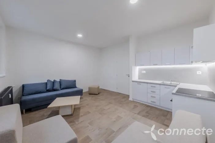 Pronájem bytu 1+kk, Přerov - Přerov I-Město, Husova, 30 m2