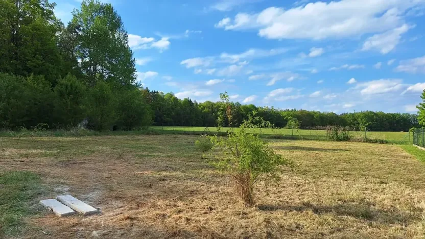 Prodej pozemku pro bydlení, Litvínovice, 1485 m2