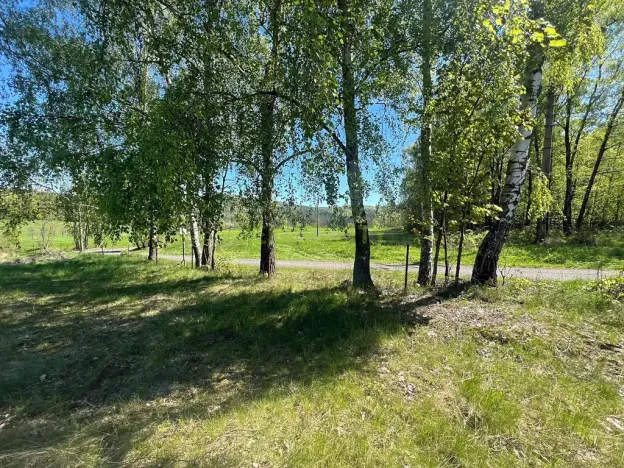 Prodej pozemku pro bydlení, Jiřetín pod Jedlovou, 40342 m2