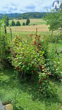 Prodej chaty, Krajníčko, 19 m2