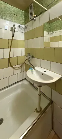 Prodej bytu 1+1, Plesná, Světlá, 35 m2
