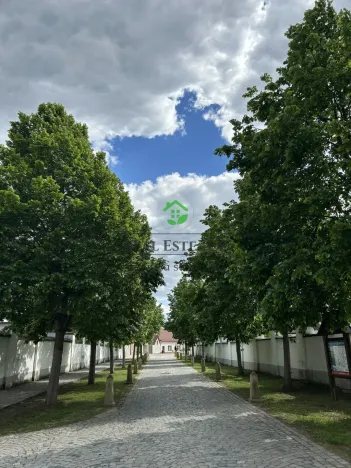 Prodej bytu 3+1, Oslavany, Moravská, 71 m2