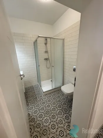 Pronájem bytu 1+kk, České Budějovice, Česká, 29 m2