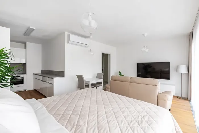 Pronájem bytu 1+kk, Brno, Lidická, 41 m2