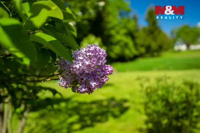 Prodej rodinného domu, Nové Město pod Smrkem - Hajniště, 266 m2