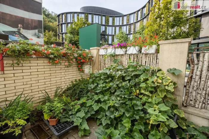 Prodej bytu 2+1, Praha - Karlín, Pernerova, 44 m2