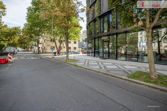 Prodej bytu 2+1, Praha - Karlín, Pernerova, 44 m2