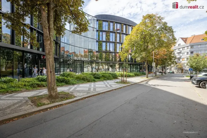 Prodej bytu 2+1, Praha - Karlín, Pernerova, 44 m2