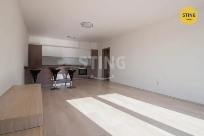 Pronájem bytu 1+kk, Jihlava, Halasova, 43 m2