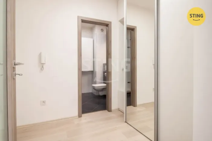 Pronájem bytu 1+kk, Jihlava, Halasova, 43 m2