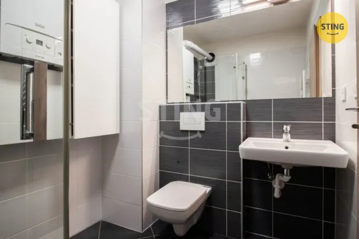 Pronájem bytu 1+kk, Jihlava, Halasova, 43 m2
