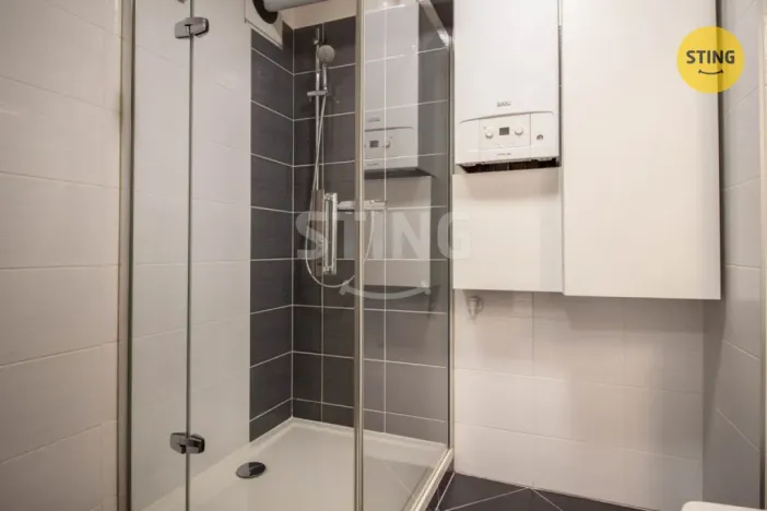Pronájem bytu 1+kk, Jihlava, Halasova, 43 m2
