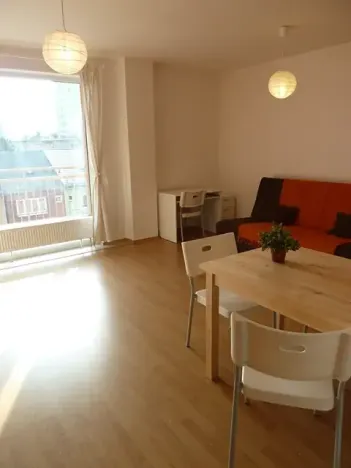 Pronájem bytu 1+kk, Brno, Božetěchova, 34 m2