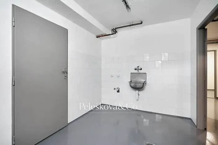 Pronájem rodinného domu, Praha - Braník, V malých domech I, 300 m2