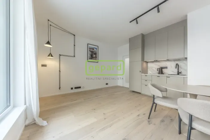 Pronájem bytu 1+kk, Praha, Krymská, 24 m2
