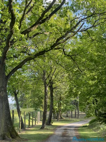 Prodej pozemku pro bydlení, Katovice, 3304 m2