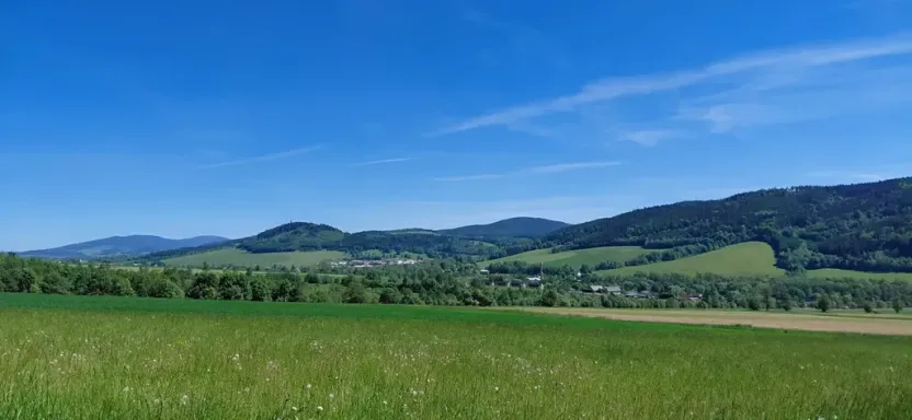 Prodej pozemku pro bydlení, Červená Voda, 1251 m2