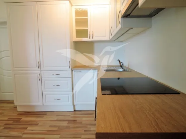 Pronájem bytu 2+kk, Plzeň, U Borských kasáren, 47 m2