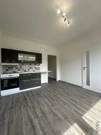 Pronájem bytu 1+1, Duchcov, Osecká, 36 m2