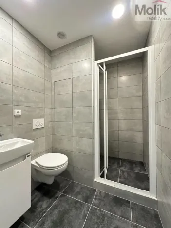 Pronájem bytu 1+1, Duchcov, Osecká, 36 m2