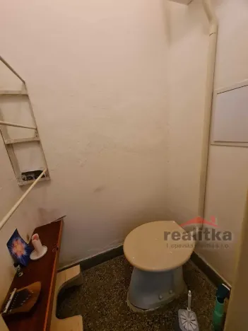 Pronájem bytu 1+1, Opava - Město, U Fortny, 55 m2
