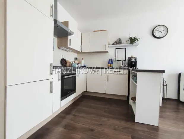 Pronájem bytu 2+kk, České Budějovice - České Budějovice 3, Jírovcova, 56 m2