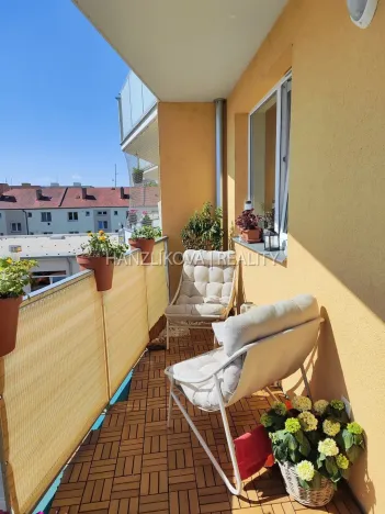 Pronájem bytu 2+kk, České Budějovice - České Budějovice 3, Jírovcova, 56 m2