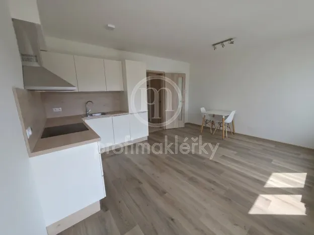 Pronájem bytu 1+kk, Brno, Spolková, 33 m2