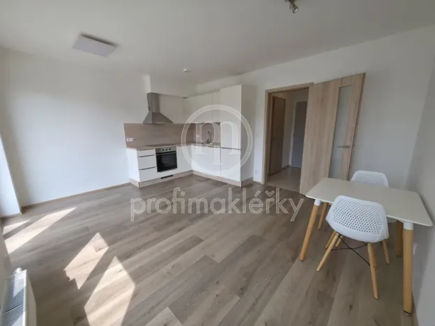 Pronájem bytu 1+kk, Brno, Spolková, 33 m2