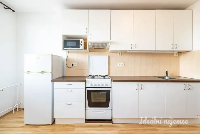 Pronájem bytu 2+1, Praha - Žižkov, Jilmová, 54 m2