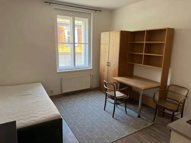 Pronájem bytu 1+kk, Praha - Nové Město, Navrátilova, 22 m2