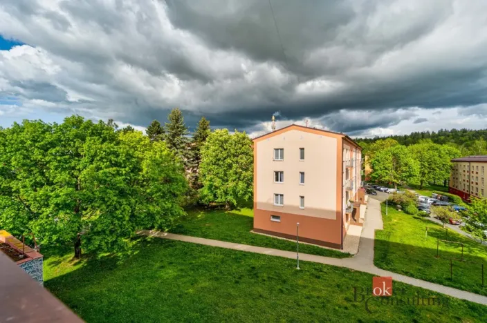 Prodej bytu 2+1, Planá, Fučíkova, 58 m2