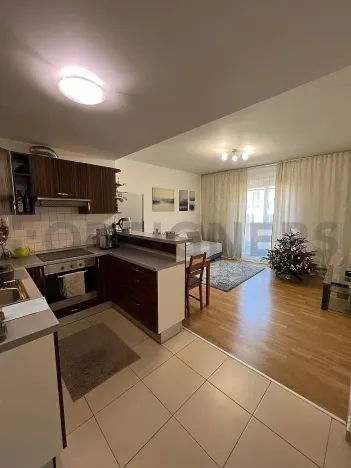 Pronájem pokoje, Praha - Žižkov, Lukášova, 16 m2