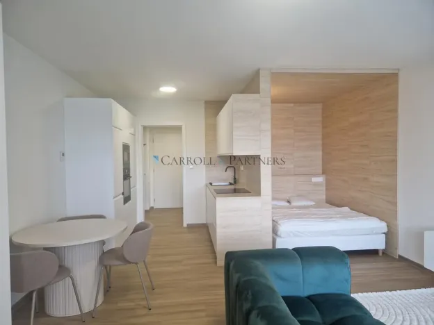 Pronájem bytu 1+kk, Ostrava - Slezská Ostrava, U Hájenky, 38 m2