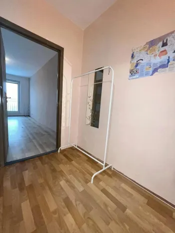 Prodej bytu 1+kk, Ostrava - Zábřeh, Petruškova, 28 m2