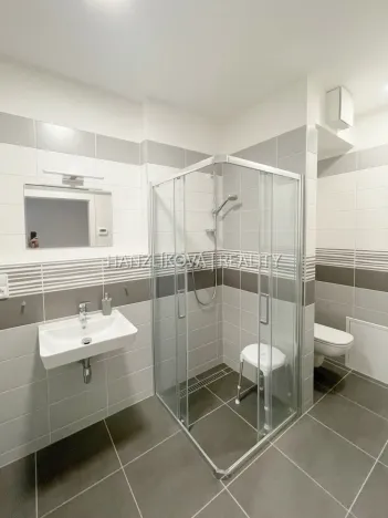 Pronájem bytu 2+kk, České Budějovice - České Budějovice 5, Ledenická, 51 m2