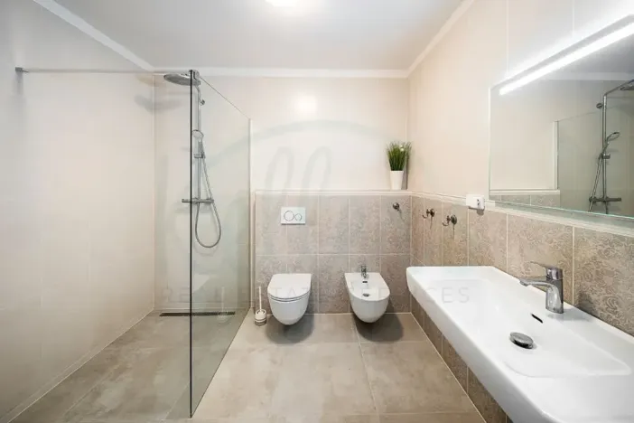 Pronájem rodinného domu, Vysoký Újezd, Pod Ovčínem, 244 m2