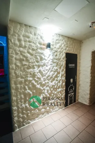 Pronájem komerční nemovitosti, Praha - Smíchov, Preslova, 250 m2