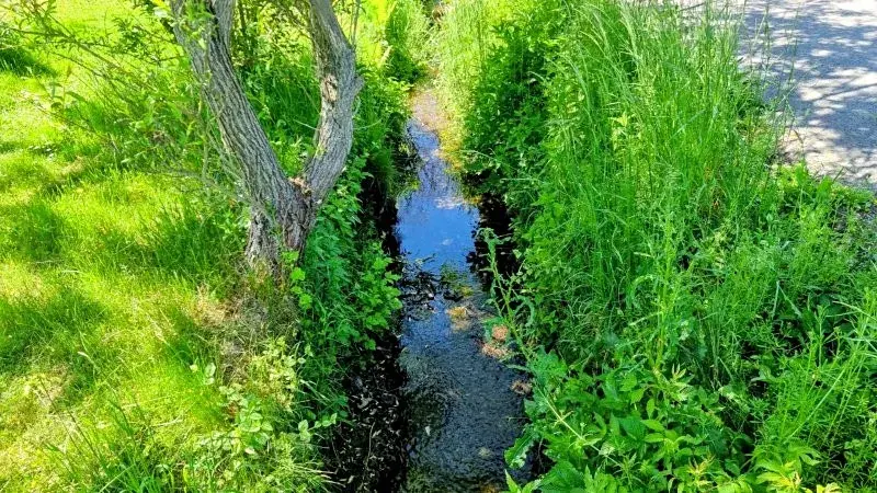 Prodej chaty, Jihlava, U Hřbitova, 21 m2