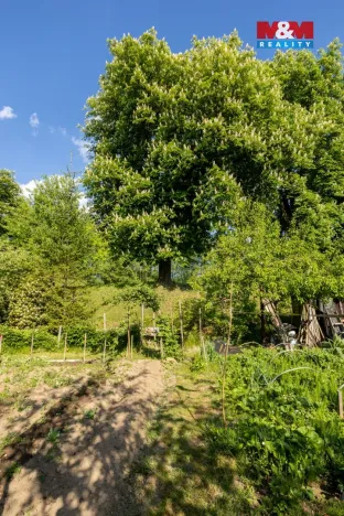Prodej zahrady, Kdyně, Na Kobyle, 381 m2