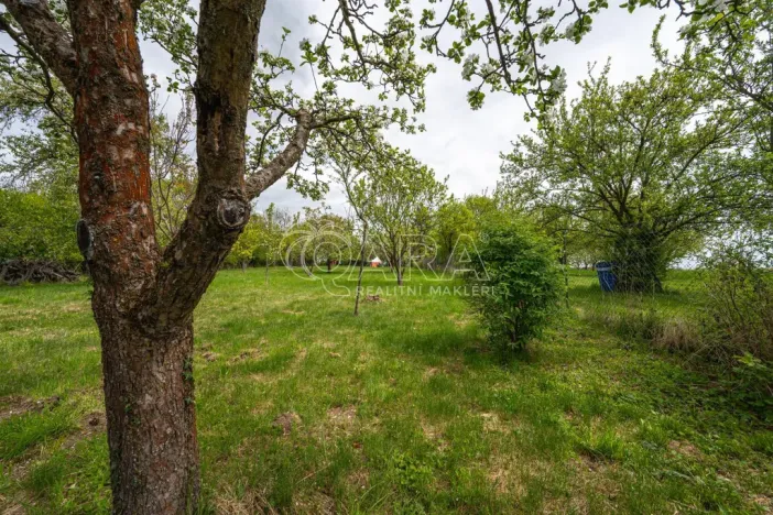 Prodej zahrady, Kokory, 2413 m2