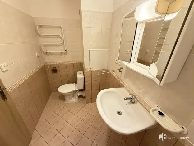 Pronájem bytu 1+kk, Praha - Újezd nad Lesy, Plhovská, 29 m2