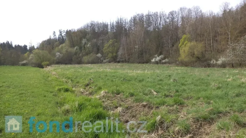 Prodej pozemku, Dešná - Dančovice, 2759 m2