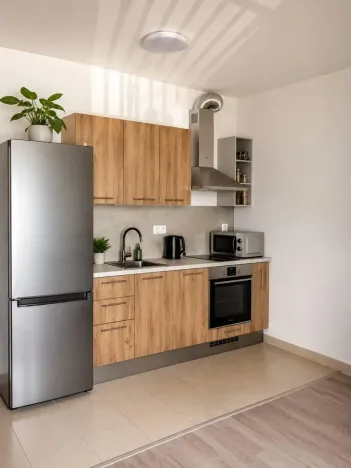 Pronájem bytu 1+kk, Praha - Žižkov, Olgy Havlové, 34 m2