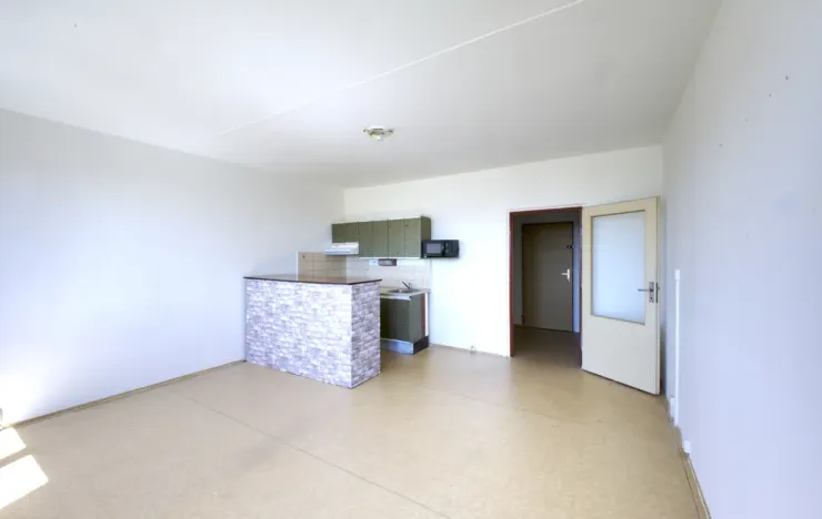 Prodej bytu 1+kk, Plzeň - Severní Předměstí, Hodonínská, 31 m2